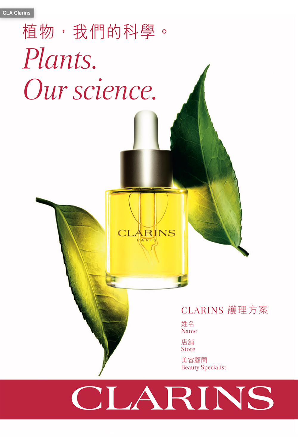 CLARINS Brochure Design